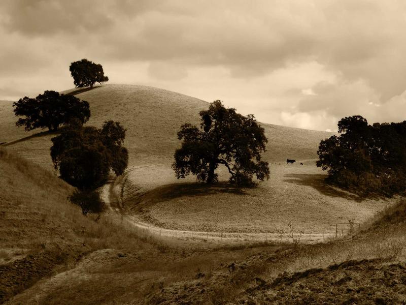 sudoku extra challenge screenshot 1